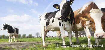 FrieslandCampina gaat gevecht om melk aan