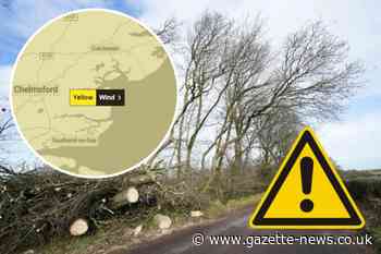 Essex weather warning for wind issued as disruption expected