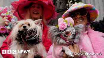 Bonnets, blossom and boat races: Photos of the week