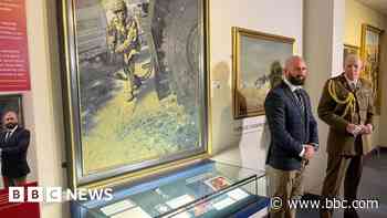 Gallantry medal awarded in Iraq goes on display