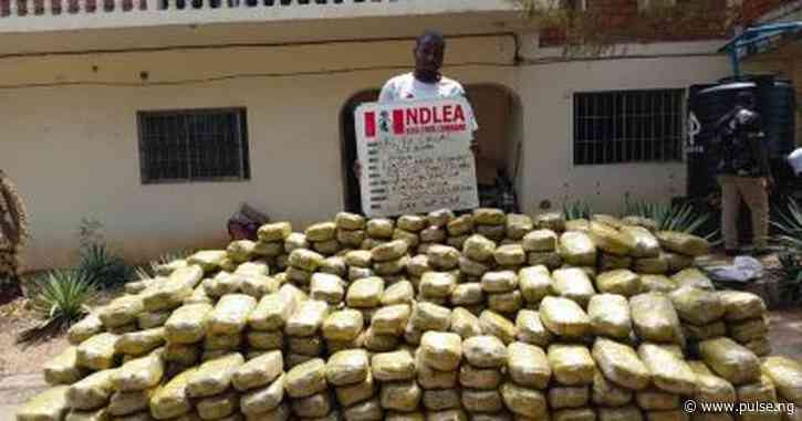 NDLEA seizes 900,000 opioid pills in Kano as war on drugs intensifies
