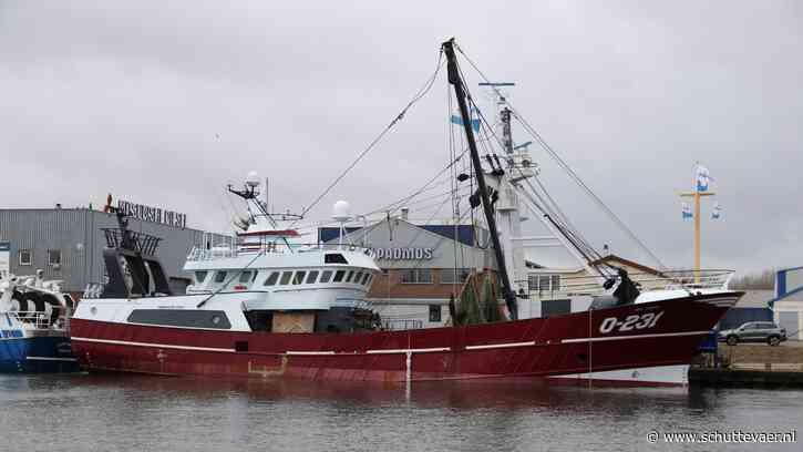 Padmos levert boomkorkotter O-231 Den Hoope weer als nieuw op