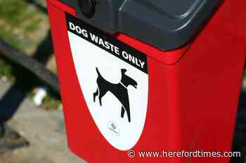 Herefordshire is losing dog waste bins - but it's okay