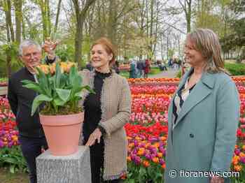 Ambassadeur van Verenigd Koninkrijk doopt tulipa King Charles lll