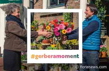 Gerbera fans shinen langs snelwegen in Nederland