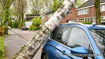 112-nieuws: boom valt op auto • bliksem slaat in op boom