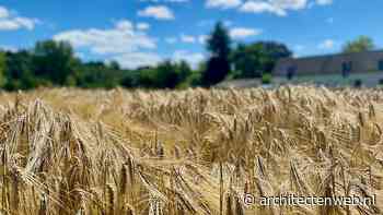 Nederland als vegan-land heeft vele positieve effecten