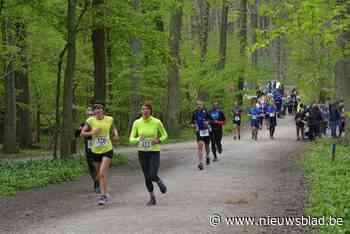 Hyacintenjogging wordt Hyacintentrail door paarse pracht van Hallerbos