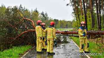 112-nieuws: Twee bomen omgewaaid • bliksem slaat in op boom