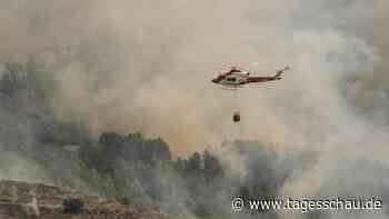 Hitze und Dürre: Erster größerer Waldbrand in Spanien