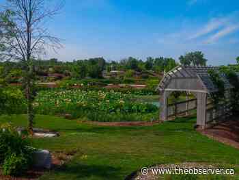 Popular garden in rural Lambton County donated to foundation