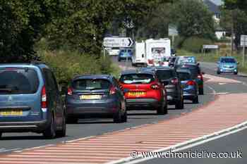 Environmental campaign group criticise plans to dual A1 in Northumberland