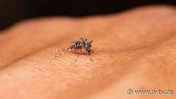 Gefahr durch Tropenkrankheit: Denguefieber-Fälle steigen in Deutschland rasant an