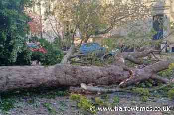 London Road, Harrow, blocked after tree falls due to wind