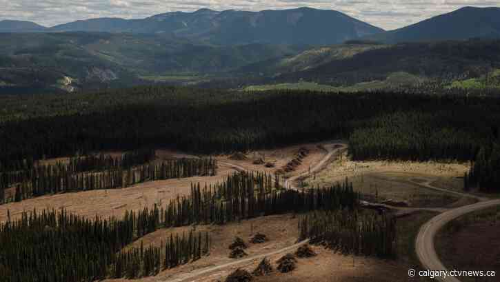 Judge orders Alberta to produce massive trove of coal documents after four-year fight