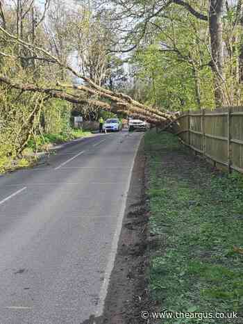 Burgess Hill road closed after tree falls on road