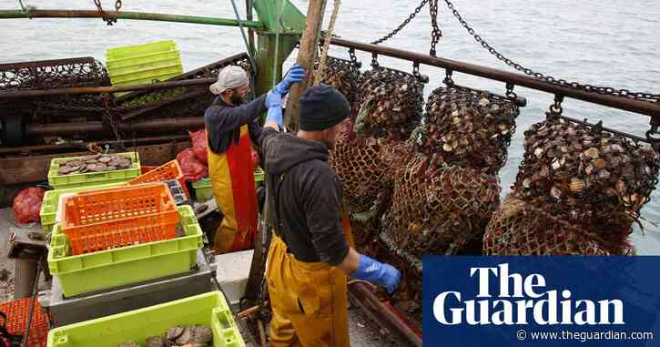 Conservationists condemn France’s protest over UK’s bottom-trawling ban