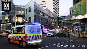 'They don't stand a chance': After the Bondi Junction attack, do security guards need more powers?