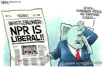 NPR is liberal: Political Cartoons