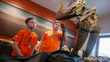 Sensationsfund bei München: Kinder stoßen auf Überreste von Ur-Elefanten