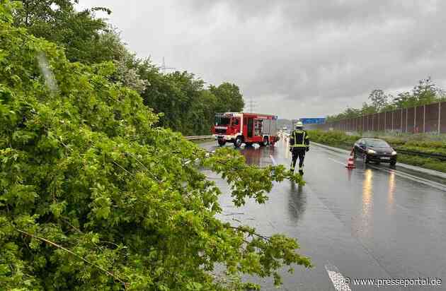 FW-Lohmar: Mehrere wetterbedingte Einsätze nach starken Windböen