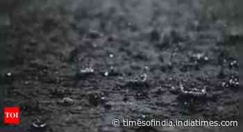 Monsoon likely to be ‘above normal’: IMD