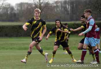 Cup glory could be 90 minutes away for Watford Under-17s