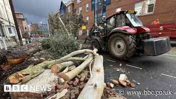 Trees and roof tiles fall as strong winds hit region