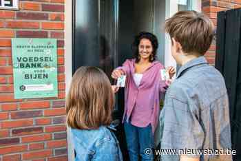 Voedselbanken voor bijen: stichting helpt ondervoede bijen door gratis bloemzaad uit te delen