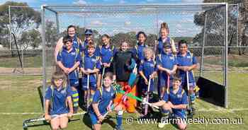 Hockey club receives grass roots funding