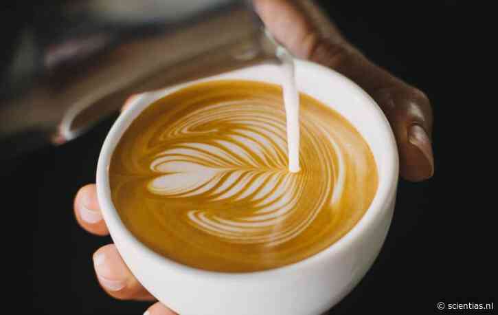 Dat lekkere kopje koffie waarmee je ‘s ochtends opstart, blijkt een speling van de natuur