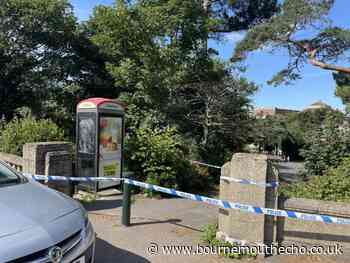 Bournemouth: Three murder arrests after death last summer