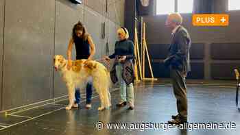Theater Ulm: Wird ein Hund der heimliche Star der nächsten Opernpremiere?