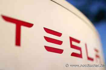 Tesla eröffnet ersten Pop-up-Store in der Rostocker Innenstadt