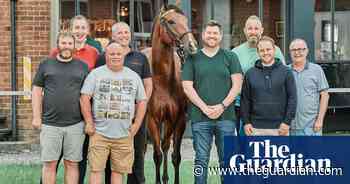 TV tonight: how a bargain basement horse beat racing’s finest