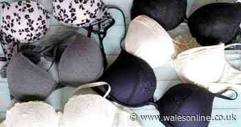 Government told to cut the cost of bras by 20%