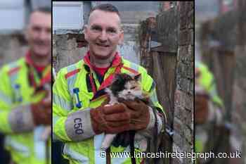 Picture of cat that was saved by firefighters ‘goes viral’