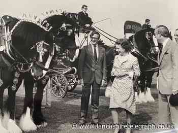 Thwaites' shire horses were special guests of the Queen