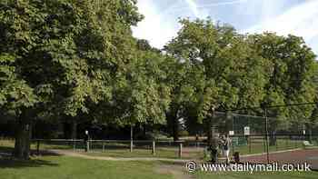 Man, 20, is arrested on after attempted rape on Tooting Common