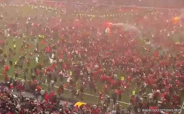 Thousands of fans rush onto the BayArena pitch as Bayer Leverkusen become Bundesliga champions for the first time ever (Video)