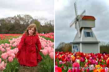 I went to Tulleys Farm's Instagrammable tulip field in Sussex