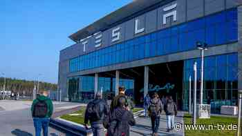 Autobauer zweifelt Laborwerte an: Tesla will Produktionsstopp mit Umwelt-Gutachten verhindern