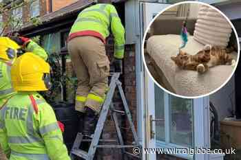 Ellesmere Port fire crew rescues pet cat from tight spot