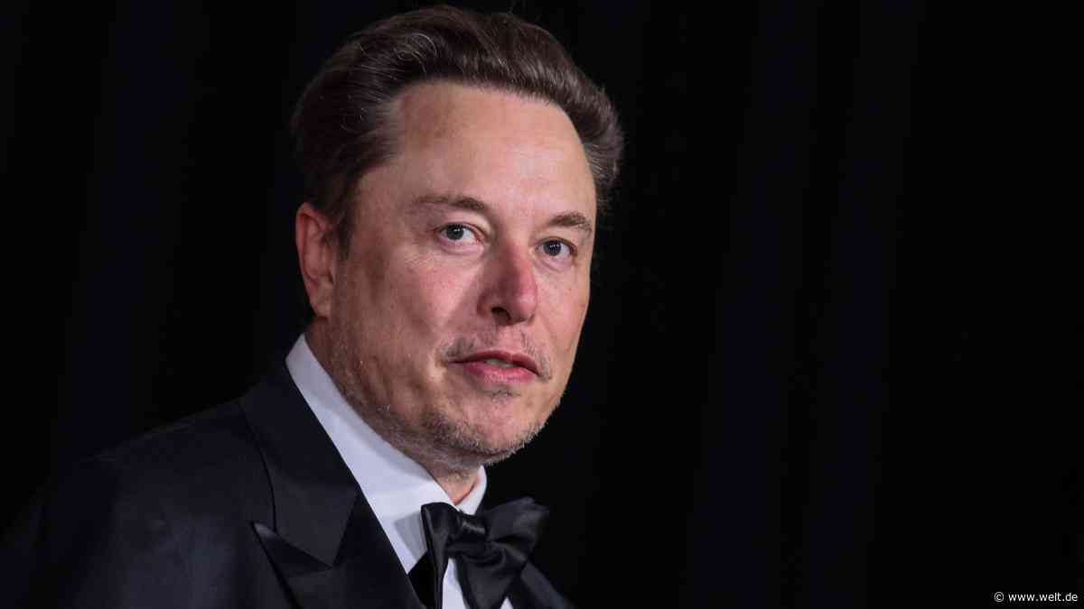 Musk will neue X-Nutzer für Posts zahlen lassen