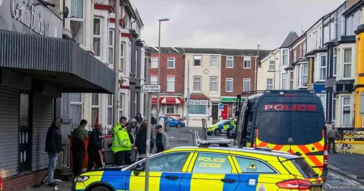 Armed police seize XL bully after woman injured in Blackpool dog attack