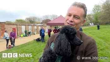 Hearing dogs and their owners walk for charity