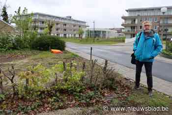 Nieuw wegdek voor Bloemenboslaan. “Senioren kunnen weer veilig de weg op”