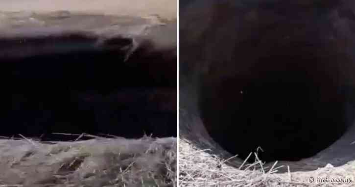‘Portal to the underworld’ mysteriously opens up near Russian border with Ukraine