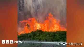 Watch: Fires blaze along Miami highway