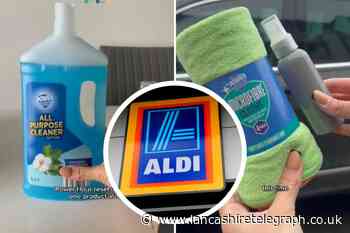 TikTok star shares how to can clean a home for £1 with Aldi